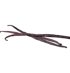 Vanilla bean